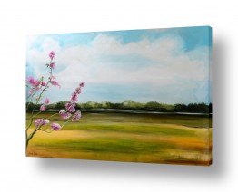 ציורים דיאנה שדה | שדה עם עץ ורוד