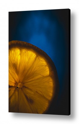 צילומים צילום תקריב | לימון ברקע כחול
