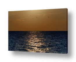 תמונות טבע קו האופק | sunset
