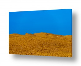 תמונות טבע מדבר | בוקר בנגב