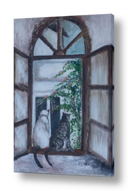 בעלי חיים - חיות חיות בית | חתולים