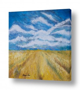 מזג אויר רוח | שדה חיטה