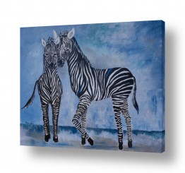 תבניות רקעים של בעלי חיים | זוג אוהב זברות