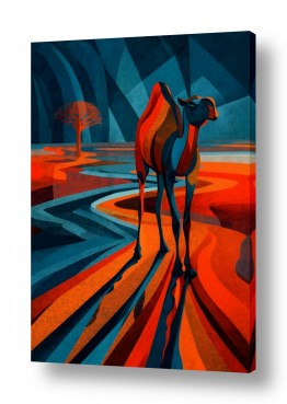 תמונות טבע מדבר | גמל בשמש