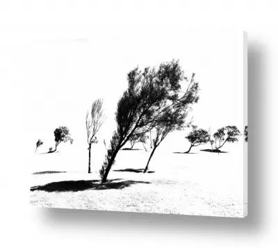 תמונות לחדר אמבטיה עיצוב חדרי אמבטיה | standing still