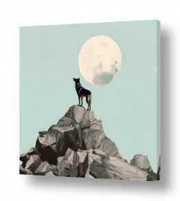 ציורים ציורים של בעלי חיים | סונטה לאור הירח