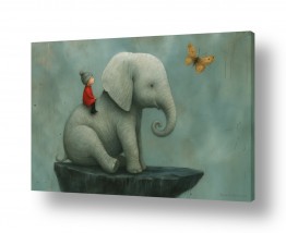 חרקים פרפרים | הפיל