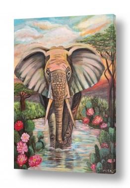 פרחים לוטוס | פיל וקקטוסים