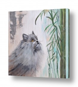 בעלי חיים - חיות חיות בית | חתול ובמבוק