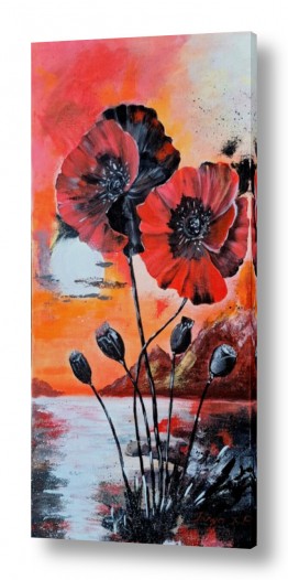 פרחים לפי צבעים פרחים אדומים | טנגו