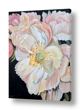 עונות השנה אביב | ניחוח אביב