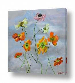 פרחים לפי צבעים פרחים אדומים | ריקוד פרחים ברוח