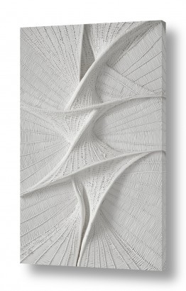 שילובים של צבע אפור אפור ולבן | מפת טופוגרפיה רגשית