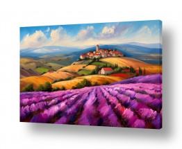 פרחים לבנדר | שדות הלבנדר בגולן