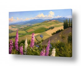 פרחים תורמוסים | תורמוסים והרי הגליל