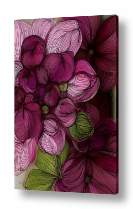 פרחים לפי צבעים פרחים ורודים | סודות הסגולה