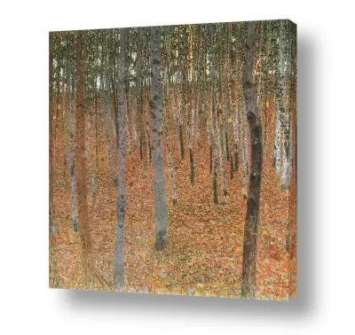 תמונות לסלון תמונות קנבס לסלון | עצי אשור Beechwood