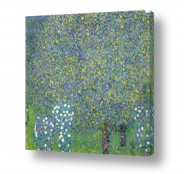 גוסטב קלימט גוסטב קלימט - Gustav Klimt - gustav | Roses Among the Trees