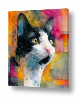 בעלי חיים - חיות חיות בית | חתול שכזה