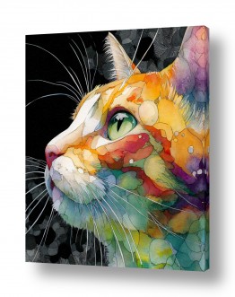 גוף האדם עיניים | חתול בוהה