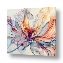 ציורים ליאת אור סמל | פרח של אור קשת