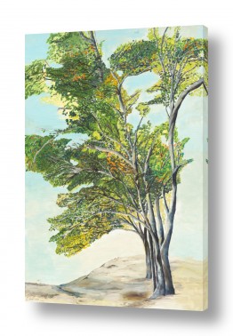 עצים גזעים | טובעים בחול