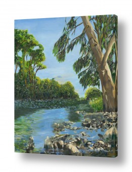 נושאים ארץ ישראל | האקליפטוס שלי