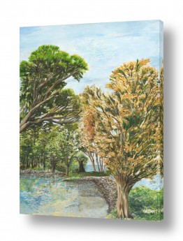 תמונות למשרד תמונות אווירה למשרדים | מפרץ הפיראטים