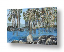 נושאים ארץ ישראל | סלעים על הכינרת שלי