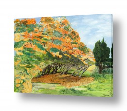 עונות השנה סתיו | פריחה בכתום