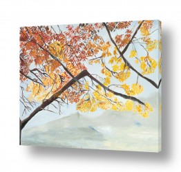 קולקציות תמונות בחלקים | על גג העולם