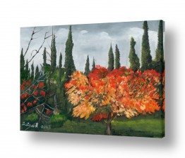 קולקציות תמונות בחלקים | פריחת חורף