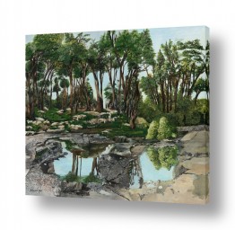 קולקציות תמונות בחלקים | שלולית חורף