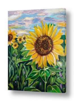 תמונות לבית תמונות מעוצבות לבית | חמניות