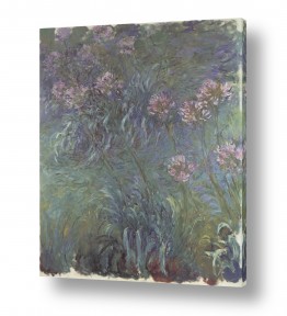 בעלי חיים - חיות חיות מים | Claude Monet 066