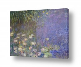 קלוד מונה הגלרייה שלי | חבצלות מים  water lilies