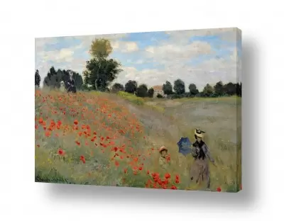 אומנות יפה אומנות קלאסית | Wild poppies
