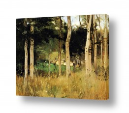 ברת מוריזו הגלרייה שלי | Morisot Berthe 008