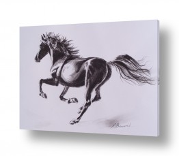 נטליה ברברניק נטליה ברברניק - ציורים מקצועים בסגנונות שונים - סוסים | שחור