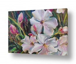 נטליה ברברניק נטליה ברברניק - ציורים מקצועים בסגנונות שונים - פרחים | WHITE