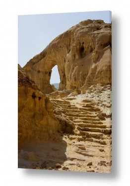 צילומים ניקולאי טטרצ'וק | Park Timna