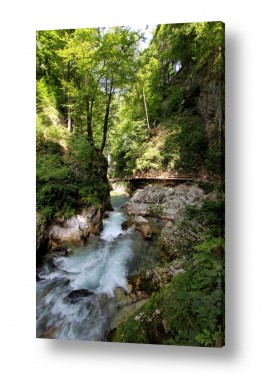 צילומים ניקולאי טטרצ'וק | Slovenia