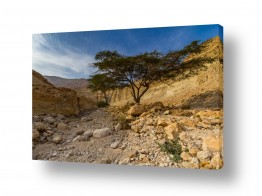 תמונות לספא | wadi Zohar