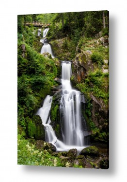 נושאים תמונות מהעולם | Triberg waterfalls