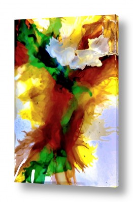 תמונות לבית תמונות לבית מודרני | ציר חי