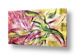 תמונות לבית תמונות לבית מודרני | זרימה שקטה