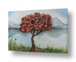 מזון פירות | פריחת הדובדבן