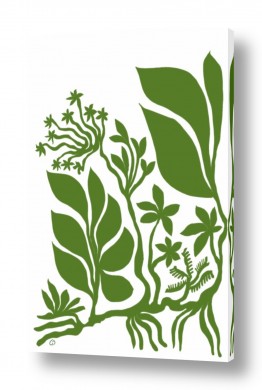 אסיה תאילנד | טווין לוטוס קולנטה