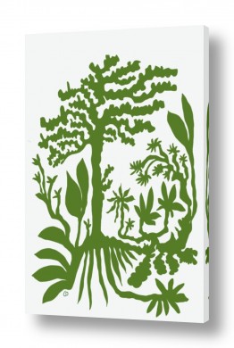 אסיה תאילנד | קולנטה תאילנד