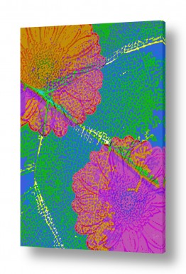 רוזה לשצ'ינסקי רוזה לשצ'ינסקי - עיצוב גרפי ואמנות דיגיטלית - פרחים | עלה  ופרח